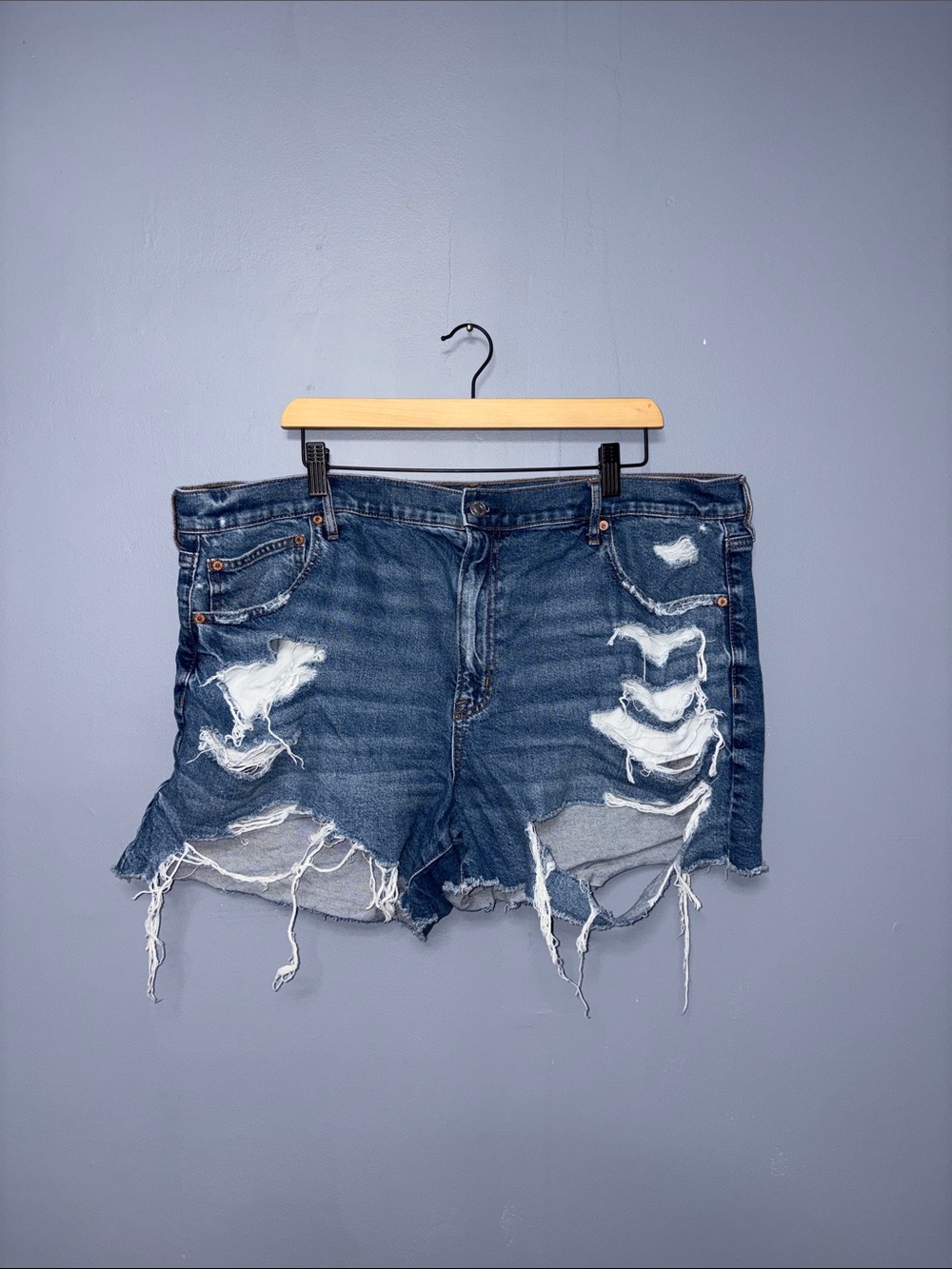 American Eagle • Distressed Jean Shorts